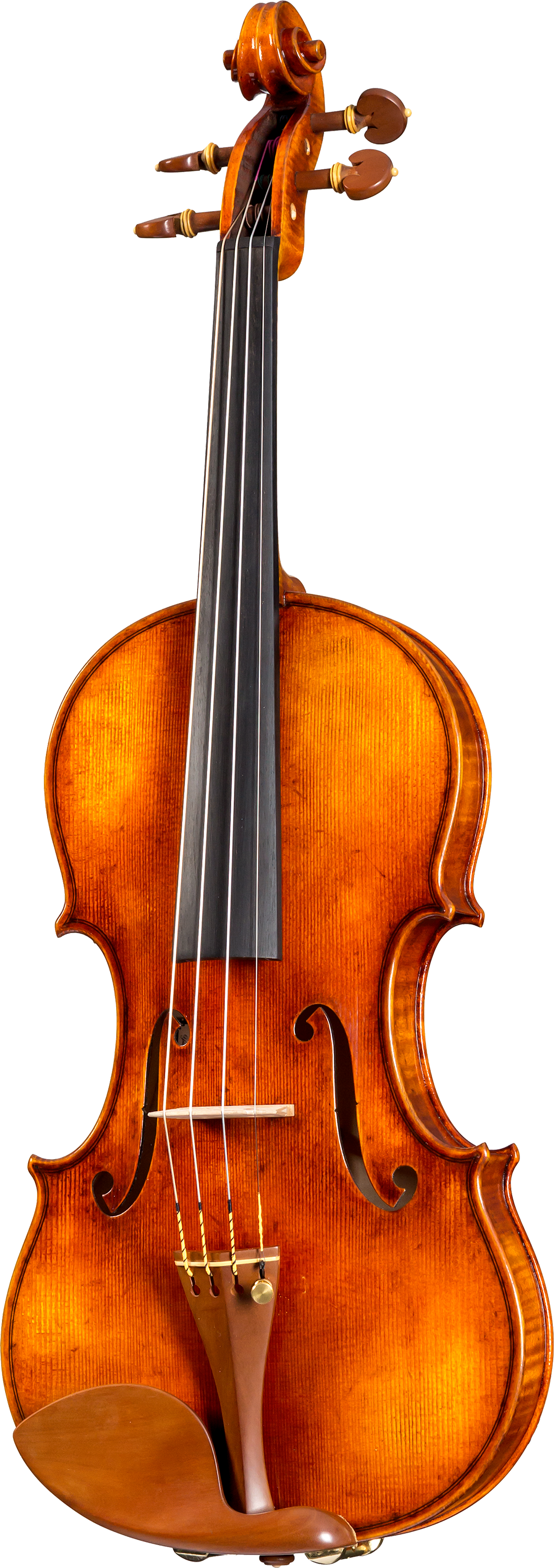 Core Select 5900G Guarneri Model by Ming Jiang Zhu