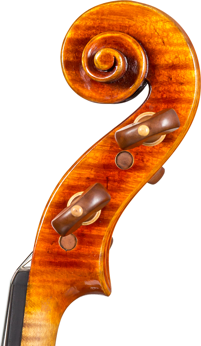 Core Select 5900S Strad Model by Ming Jiang Zhu