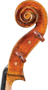 Core Dragon Cello DR10