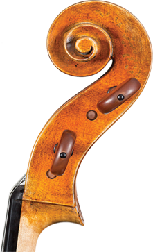 Core Dragon Cello DR20
