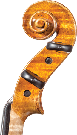 Core Dragon Violin DR30