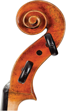 Core Dragon Cello DR50