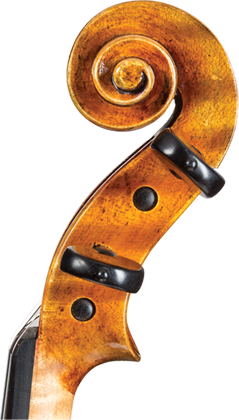 Core Dragon Violin DR50