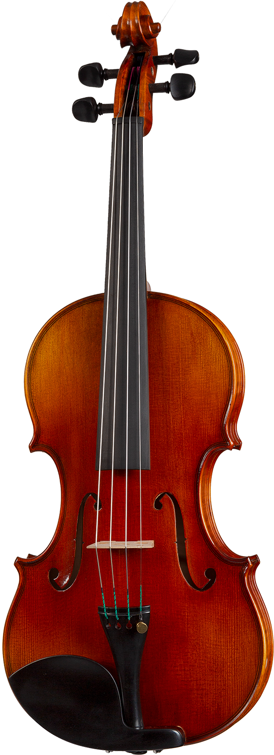 Franz Sandner FS803 Violin