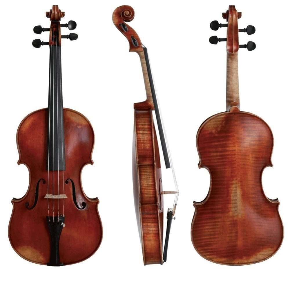 Gewa German Viola Walter 11 Prag Antique