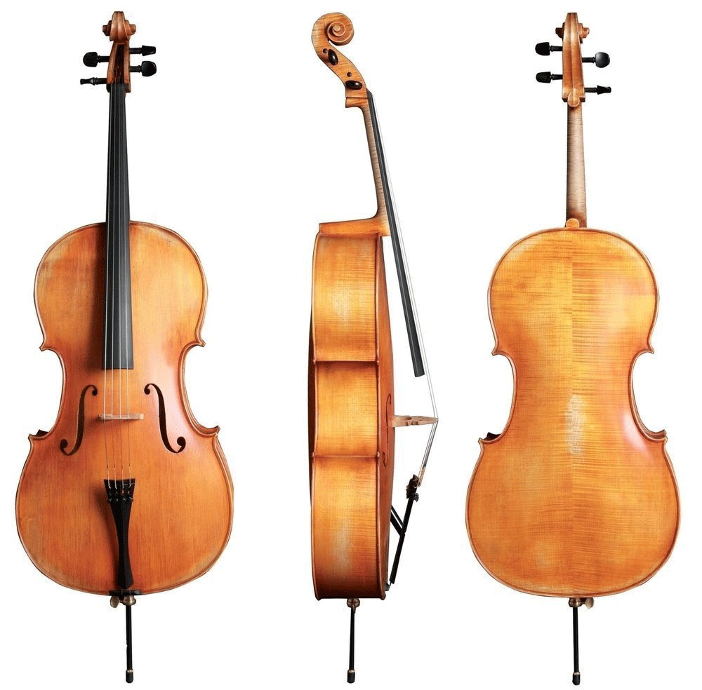 Gewa German Walter 11 Berlin Antique Cello