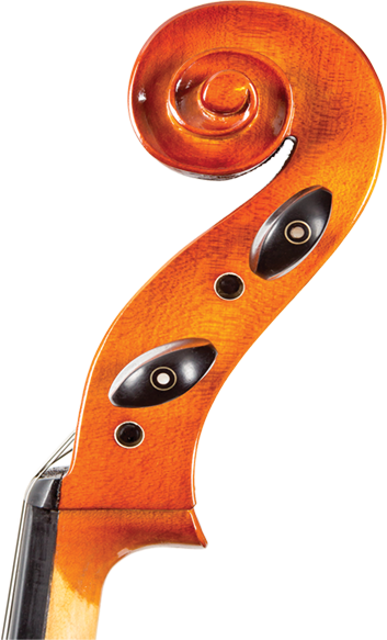 Core A31 Cello Outfit