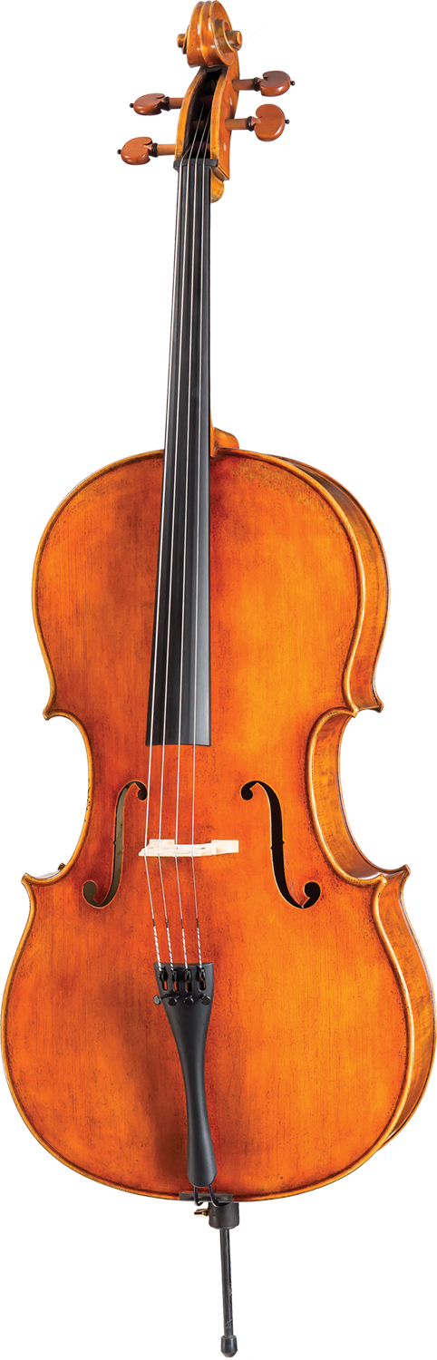 Core Dragon Cello DR20