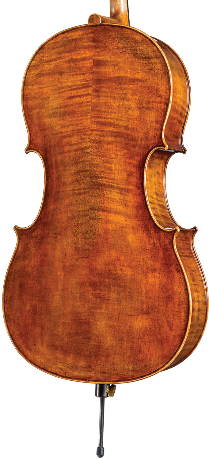 Core Dragon Cello DR30
