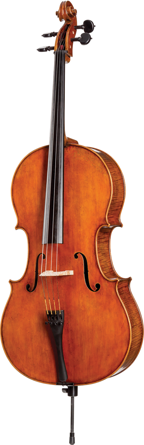 Core Dragon Cello DR50
