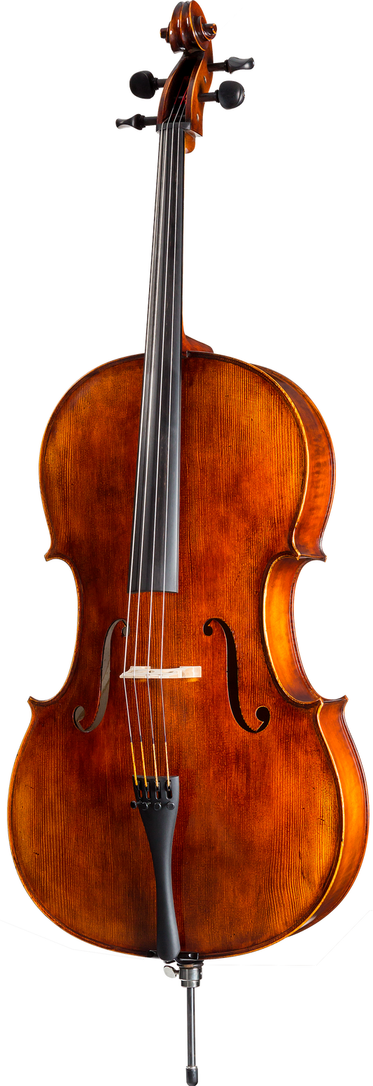 Franz Sandner FS500A Cello
