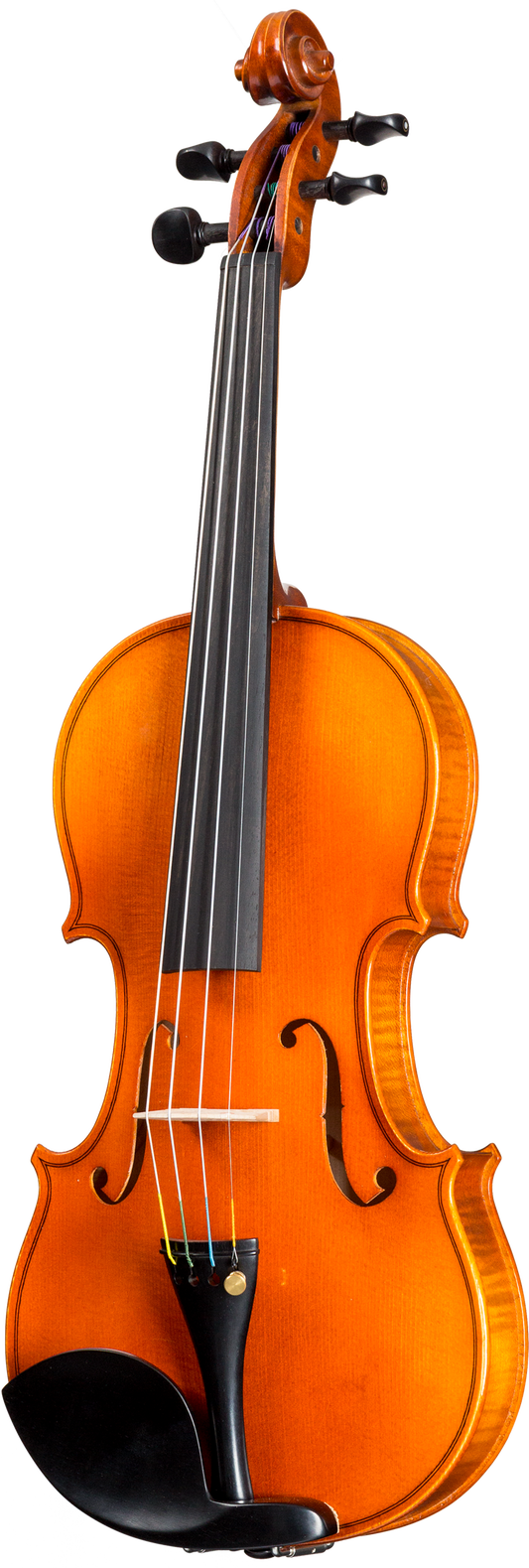 Franz Sandner FS604 Violin