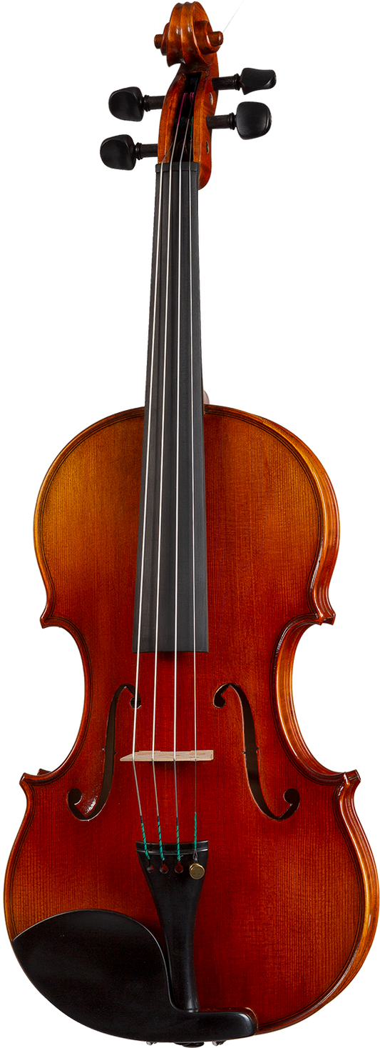 Franz Sandner FS803 Violin