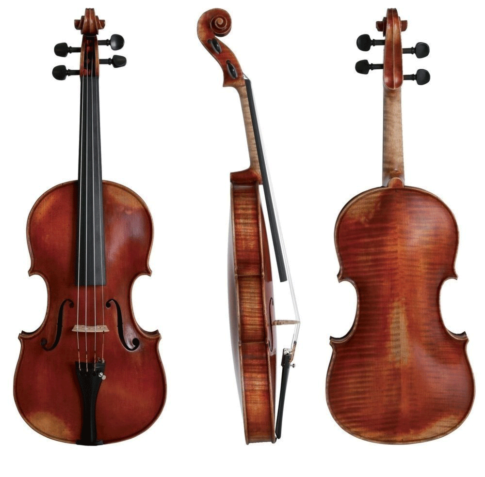 Gewa German Walter 11 Rom Antique 4/4 Violin