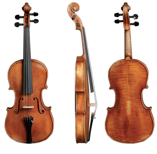 Gewa German Walter 11 Prag Antique 4/4 Violin