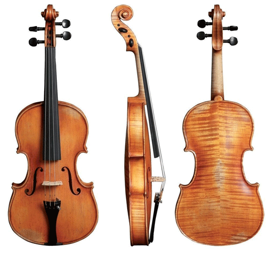 Gewa German Viola Walter 11 Berlin Antique