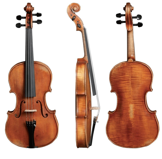 Gewa German Viola Walter 11 Rom Antique