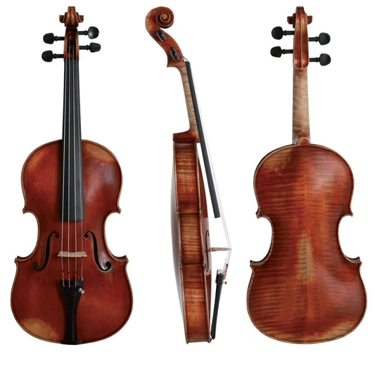 Gewa German Viola Walter 11 Prag Antique