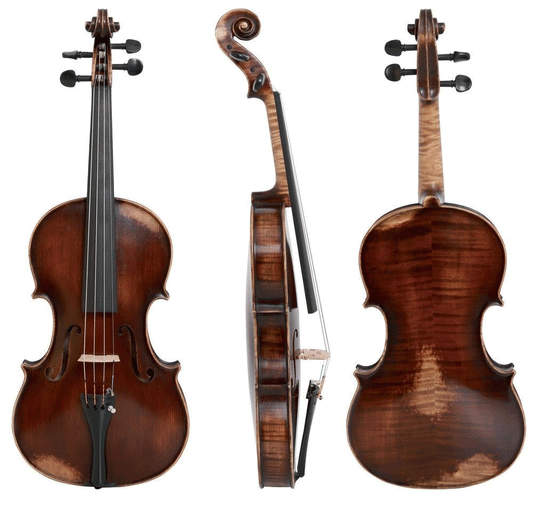 Gewa German Viola Walter 11 Paris Antique