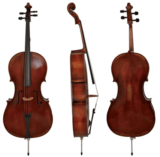 Gewa German Walter 11 Rom Antique Cello