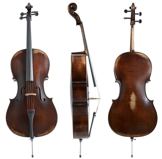 Gewa German Walter 11 Paris Antique Cello