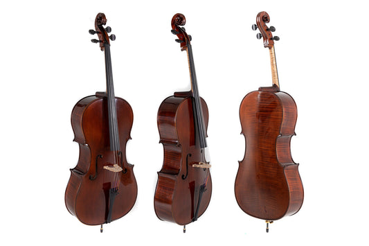 Thomas Boehme Dark Red Brown Cello